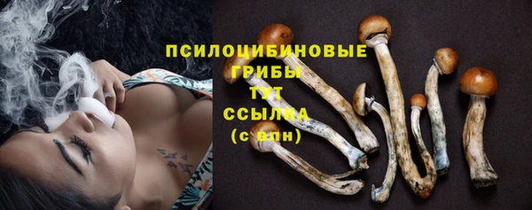 амф Баксан