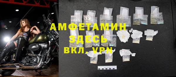 шишки Балахна