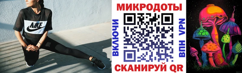 Псилоцибиновые грибы Psilocybe Минеральные Воды