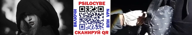 ссылка на мегу как войти Минеральные Воды Галлюциногенные грибы Psilocybine cubensis